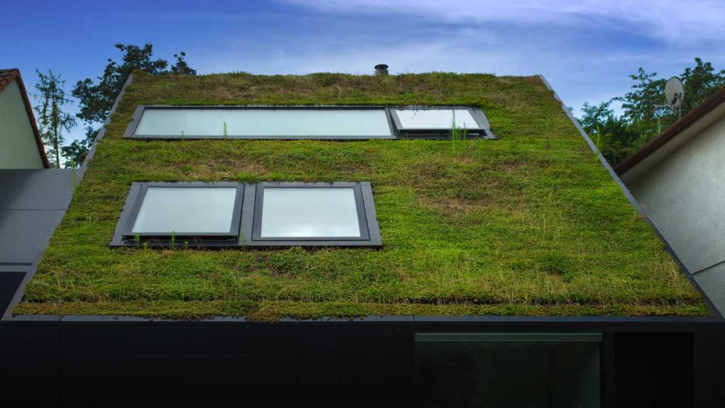 Een extensief groendak wordt gebruikt als ecologische dakbedekking.